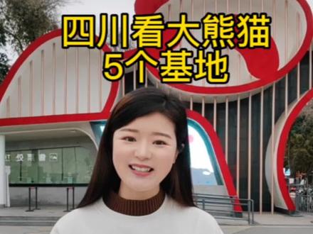 在四川5个可以看大熊猫的基地#熊猫基地看熊猫#雅安碧峰峡大熊猫基地 #卧龙大熊猫繁育研究基地 #都江堰熊猫谷 #成都大熊猫繁育研究基地