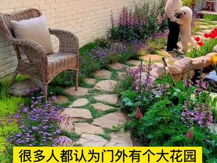 这个#除虫菊 好美呀,种植简单还驱蚊虫 家里有阳台小院的可以种一些#爱生活爱养花 #家庭种植 #种子 #夏天驱蚊