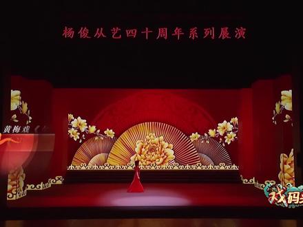 #湖北卫视戏码头 黄梅戏《女驸马·谁料皇榜中状元》 杨俊