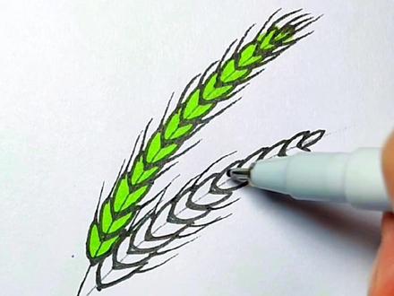 用简单线条和字母v画麦穗!#马克笔教程 #简笔画 #创意简笔画 #一学就会的简笔画 #儿童简笔画 #创意儿童美术 @DOU+上热门