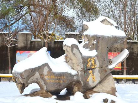 #卢龙县中学 高二年级期中考试,家长给学生寄语