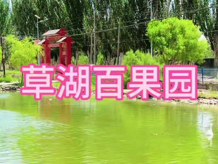 (广告)草湖百果园#草湖百果园#百果园#草湖#农家乐#喀什游玩攻略