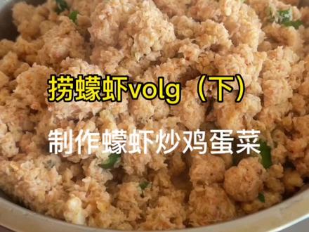 捞蠓虾volg(下) 制作蠓虾炒鸡蛋菜#抖音美食推荐官 #大海的馈赠 #跟抖音学做菜
