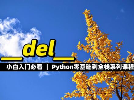 __del__ #Python #编程 #程序员 #全栈