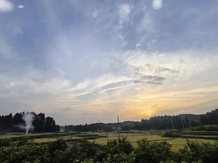 季明舒你离开我,还可以干什么#不二之臣 #岑森 #季明舒