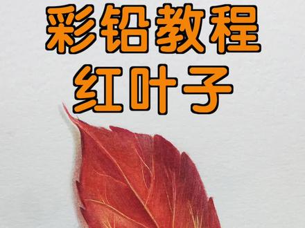 彩铅教程,枫叶的画法,简单好上手,快跟着画起来吧#彩铅 #彩铅画 #蔡海晨素描 #彩铅教程