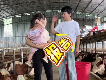 来啦来啦,他真的来啦,来喂牛带娃啦#刘犇犇 @苏潇潇