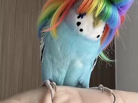 起猛了!千问APP又出新玩法,一张照片又唱又跳。#千问app#AI#千问app视频生成