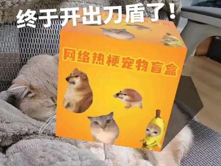 #我在抖音拍特效 #谁还没只刀盾狗 #AI刀盾狗真的太可爱了 #特效师遁地的猪 #重生之我在抖音养小动物