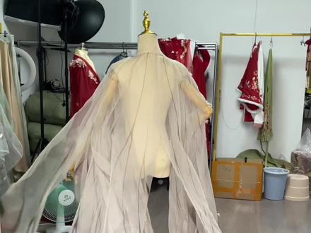 还记得这个枯叶蝶蝴蝶外披吗?