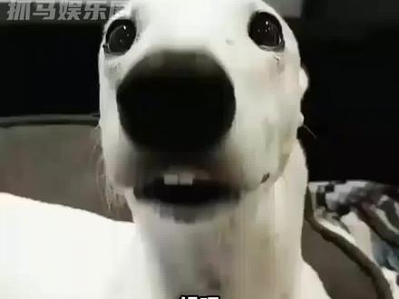 以后真的要注意了!#啤酒 #危险 #大数据推荐给有需要的人