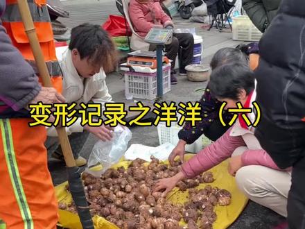 邱师,邱燕今天帮着洋洋去卖芋头,感觉洋洋还是欠缺点什么。。。 #变形记 #叛逆青年的逆袭记