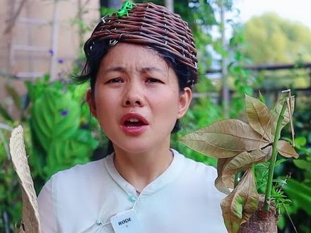 #发财树 叶子枯黄掉叶烂根不长根怎么办?立夏教你一招快速解决#养花小知识 #花卉绿植 #立夏园艺 @抖音小助手