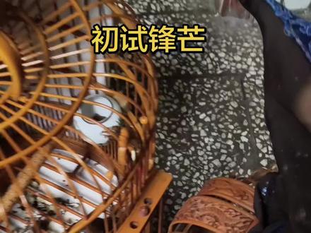 是驴是马拉出来溜一溜,择优录取委以重任