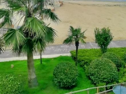 别去平潭了,推荐一个小众赶海宝藏打卡地,象山爵溪海滩,人少停车又方便还免费,可以抓小螃蟹,吹吹海风太惬意了!#亲子游玩好去处 #带你去看海 #户外 #旅行 #周末去哪玩