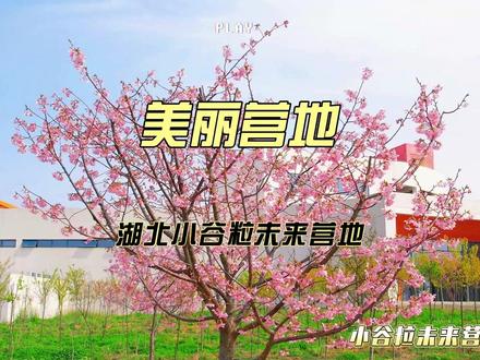 春暖花开,美好时节-小谷粒未来营地