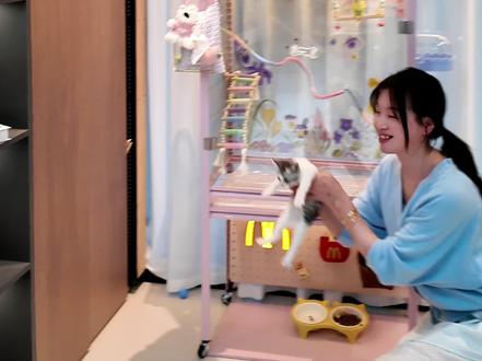 我老婆居然拿货架自制了超大号鸟笼! 顶层不仅能收纳各种物品,最下面还是个猫咪食堂~#抖音宝藏生活家 #手工人的奇思妙想 #鸟笼 #DIY #省钱