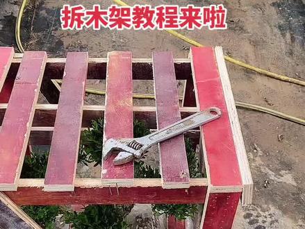 拆木架教程来啦,希望能帮助到你们#拆盆景木架 #dou上热门➭