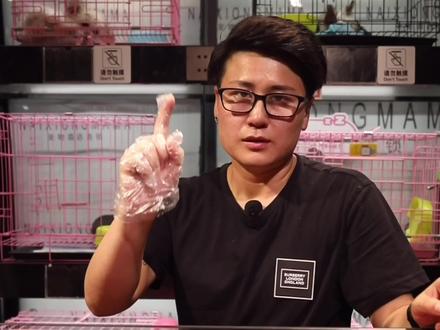 一分钟劝退养狗,看看有你想养的狗子嘛#萌宠出道计划 #狗狗 #宠物店 #萌宠好物