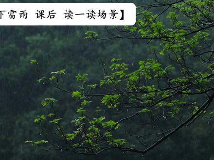 【二下 雷雨 课后读一读 场景】 #小学语文 #二年级语文 #课文雷雨 #课文视频