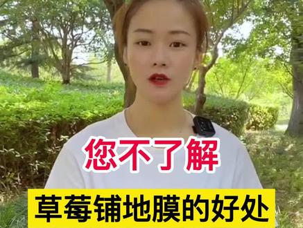 草莓铺设地膜的好处您真的知道吗?#草莓种植 #三农 #农业种植 #经验分享 #新农人计划2022