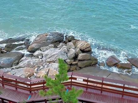 3月份连云港这些景区免费! #连云港 #花果山 #景区免费