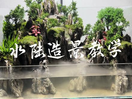 简单整理一下拍了个视频教学,希望可以帮到,有什么水陆景观问题可以随时联系我#水陆缸 #造景 #水陆缸造景 #假山流水造景 #水陆景观