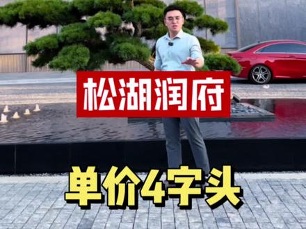 松山湖新房,我感觉可以秒很多二手房#新房推荐 #东莞房产小何哥 #学校 #学区房了解一下