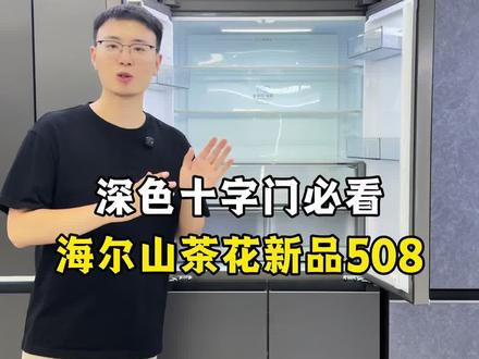 高配版的山茶花508 #海尔山茶花冰箱