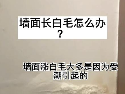 #墙面返碱 #墙面 墙面长毛,发霉返碱,怎么处理?看完视频就知道了!