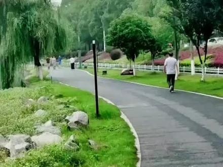祝愿我的家乡南县越来越好 #最美风景最美家乡 #自然景