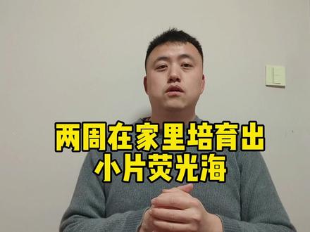 两周在家里培育出小片荧光海,大年三十为大家献上海底烟花表演 #荧光海 #夜光藻 #frank的私人水族馆