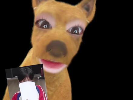 我一直在尖叫啊啊啊啊啊#奇文#左奇函#杨博文#同人文