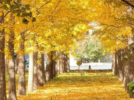 给九柱配音乐(剪的不太好,请见谅)
#鬼灭之刃 #九柱