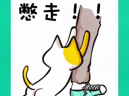 那些已经停更的网红你都知道吗?#网红 #脱口秀 #郭聪明