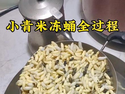 #粉丝一千万 #蜂蛹美食 #小青米抽蛹教程@抖音小助手