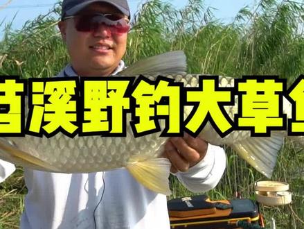 这个地方贼夸张,狂走水甚至是流水!对我是极大的考验。钓鱼最怕的走水 如果是你,你咋办?#钓鱼 #野钓