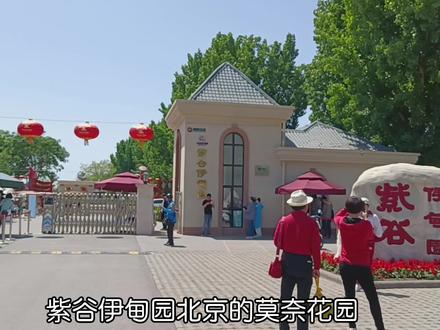 在北京可以赏几十种花卉,欣赏欧式建筑的小浪漫,又可以免费搭帐篷露营的遛娃好去处!#紫谷伊甸园 #亲子游玩好去处 #周末去哪玩 #vlog日常 #伊甸园