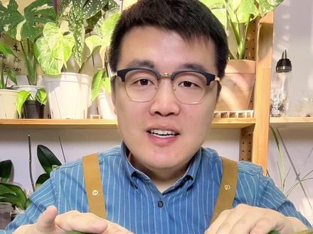 #养花
#养花小技巧 #君子兰 夹剑了,只能这两招了