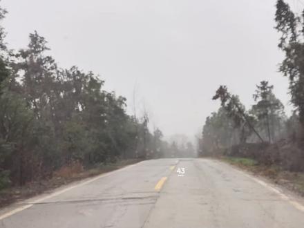 第一次听见比月经还乱的歌,听了一路也没明白水手说了啥?#车载音乐歌单