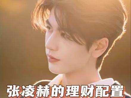 小Lin采访张凌赫,变身理财小达人~#张凌赫#小Lin#保险#理财配置