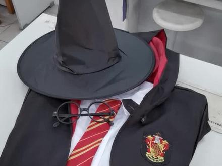 #哈利波特 #魔法 #物理 说出来你可能不信,我来自霍格沃茨魔法学校,格兰芬多,有校友吗?