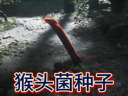 黑神话猴头菌种子攻略#黑神话 #steam游戏