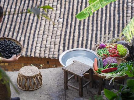 红果参——来自云岭的神秘红果 #红果参 #云南水果 #水果料理 #我的乡村生活