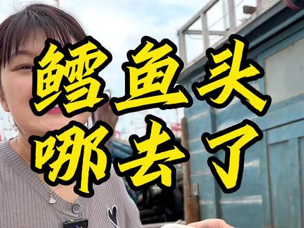 鳕鱼头去哪了,给大家科普一下,这个鱼和明太鱼不是一种鱼,别再被骗了