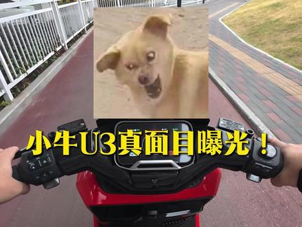 小牛U3外观图和配置正式曝光 #小牛电动 #新国标电动车 #小牛u3 #新车 #电动车推荐