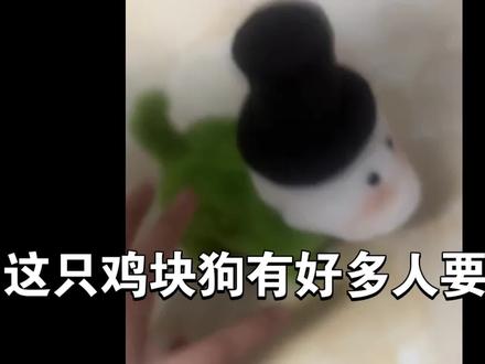 鸡块狗教程来啦!!!!
⚠️废话连天、讲话毫无逻辑版
其实我也是和其他博主学的(我忘了叫啥了评论我会艾特出来)如果觉得我讲的不好可以去她那里看!非常清晰!
⚠️关于我接单
1.上学期间住在宿舍做不了的,这个布很飞毛在宿舍不好打理,所以只能在暑假接单,可以关注一下蹲一蹲开单活动。
2.可以加我主页🛰️,开单之前会发朋友圈(也会发抖音视频,但是怕大家看不到)
3.关于价位,可以关注一下我的咸🐟:绿蓝不想白给了,因为这个东西是手工的,价格波动什么的很正常,我暂时接的最贵的是材料费15,手工费35,邮费14全款64拿下,如果有等不及的可以对比我这个价格去找手作娘,超过80就要考虑了哦,有点小贵了!
#鸡块狗 #第五人格 #恐惧震慑 #异宠 #杰克