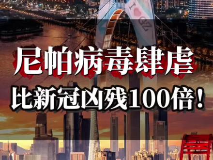 印度突发尼帕病毒 #尼帕病毒 #印度 #国际局势 #时事热点 #全球创作者计划