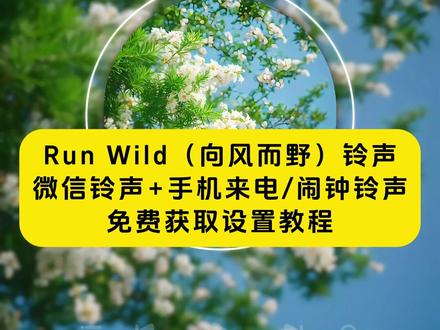 《月白精选》run wild铃声下载及设置教程
来了,run wild铃声下载,run wild铃声设置教程,run wild铃声怎么设置成微信铃声, #runwild #runwild向风而野 #runwild铃声设置教程