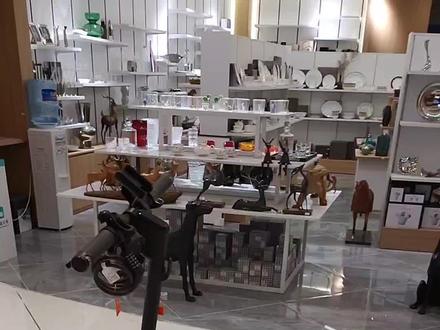 新买的滑板车如何启动?#电动滑板车